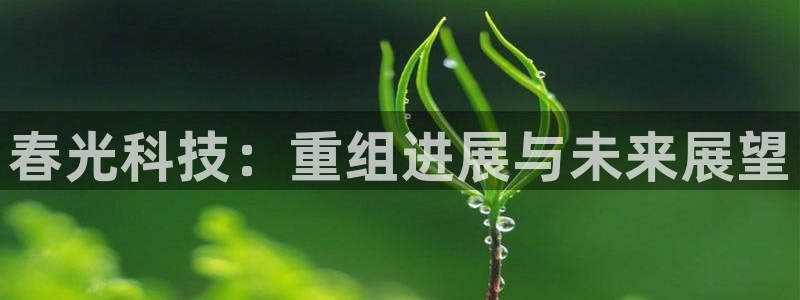 春光科技：重组进展与未来展望