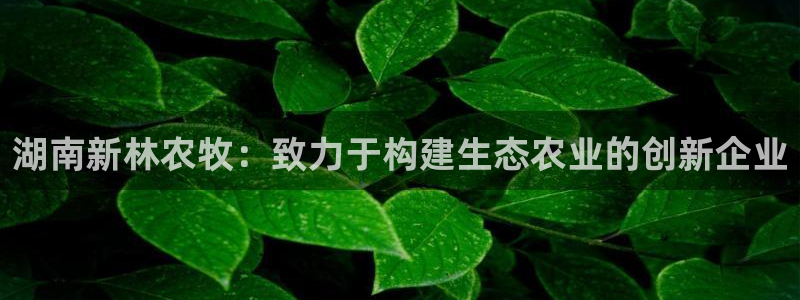 湖南新林农牧：致力于构建生态农业的创新企业