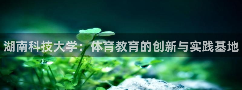 湖南科技大学：体育教育的创新与实践基地