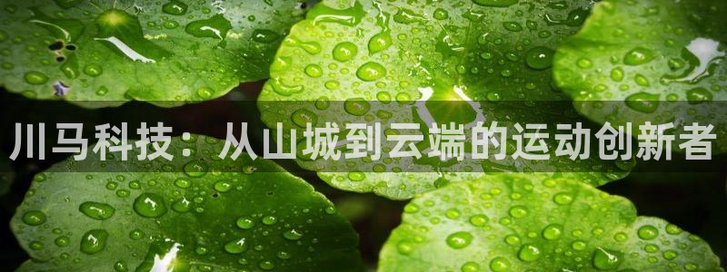 川马科技：从山城到云端的运动创新者