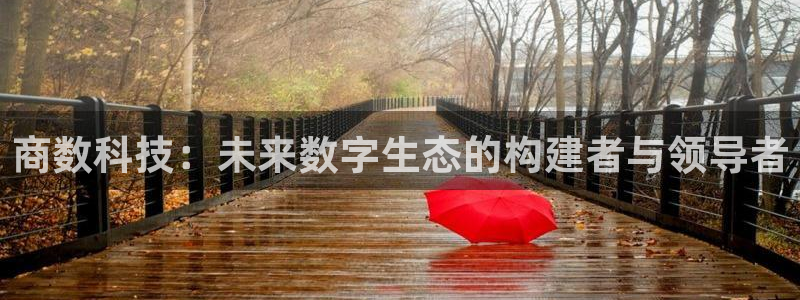 商数科技：未来数字生态的构建者与领导者
