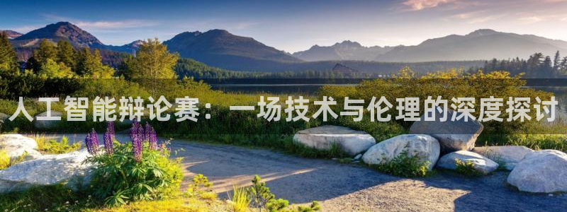 人工智能辩论赛：一场技术与伦理的深度探讨