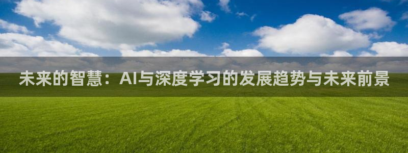 未来的智慧：AI与深度学习的发展趋势与未来前景