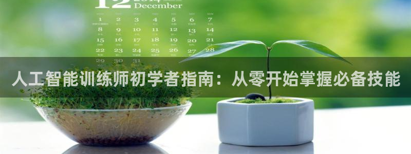 人工智能训练师初学者指南：从零开始掌握必备技能