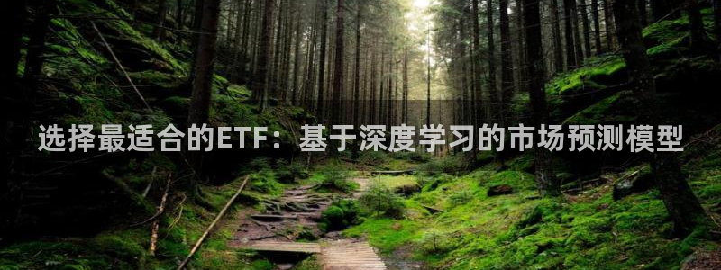 选择最适合的ETF：基于深度学习的市场预测模型