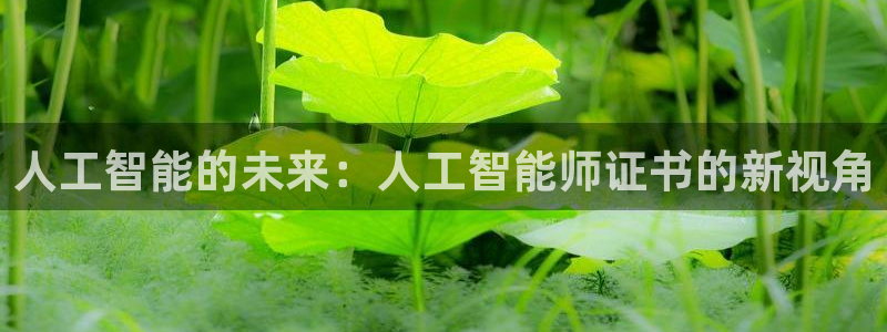 人工智能的未来：人工智能师证书的新视角
