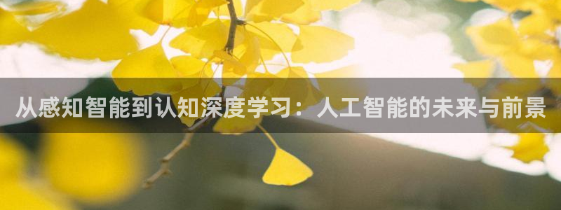 从感知智能到认知深度学习：人工智能的未来与前景