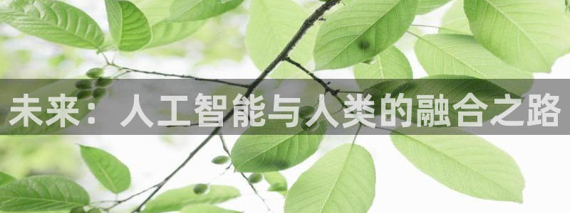 未来：人工智能与人类的融合之路