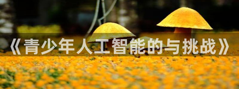 《青少年人工智能的与挑战》