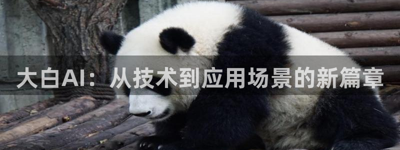 大白AI：从技术到应用场景的新篇章