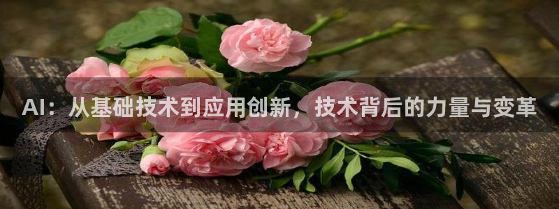AI：从基础技术到应用创新，技术背后的力量与变革