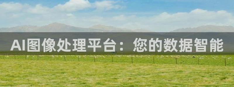 AI图像处理平台：您的数据智能