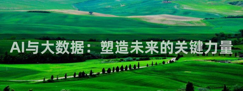 AI与大数据：塑造未来的关键力量