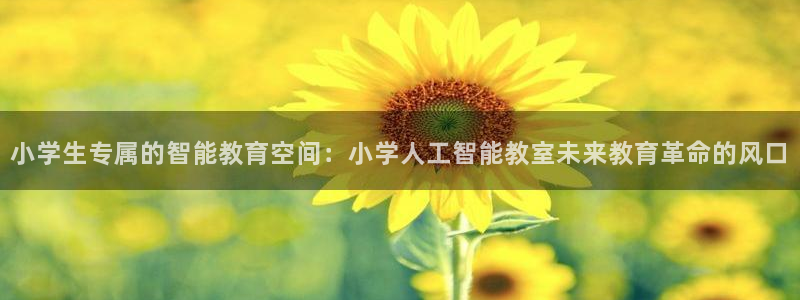 小学生专属的智能教育空间：小学人工智能教室未来教育革命的风口