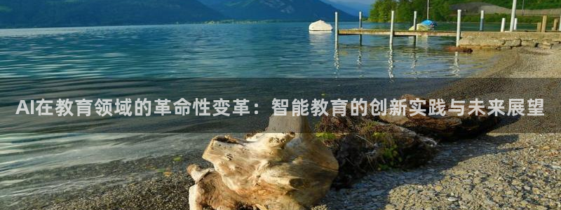AI在教育领域的革命性变革：智能教育的创新实践与未来展望