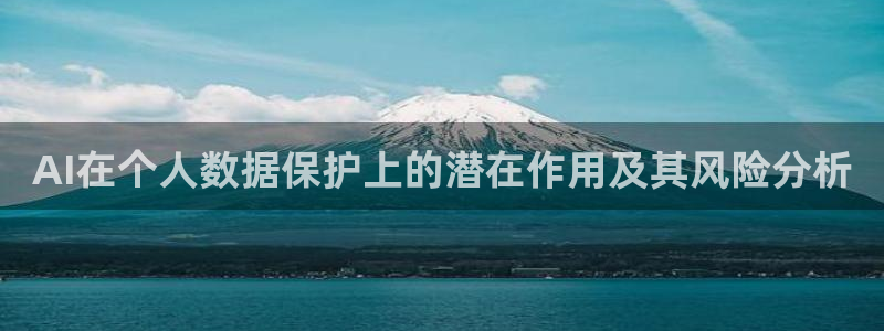 AI在个人数据保护上的潜在作用及其风险分析