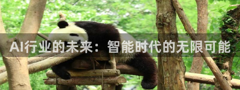 AI行业的未来：智能时代的无限可能