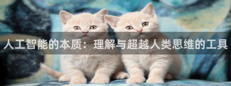 人工智能的本质：理解与超越人类思维的工具