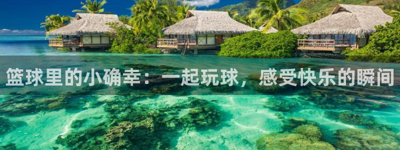 篮球里的小确幸：一起玩球，感受快乐的瞬间