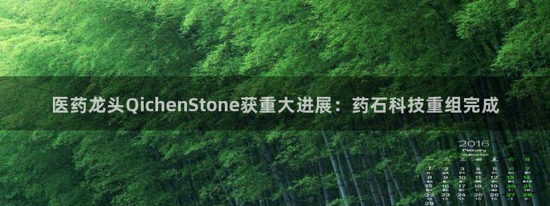 医药龙头QichenStone获重大进展：药石科技重组完成