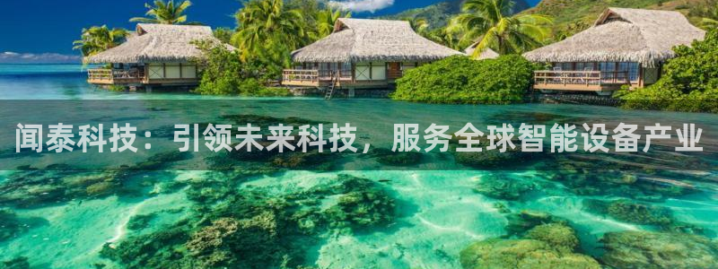 闻泰科技：引领未来科技，服务全球智能设备产业
