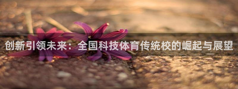 创新引领未来：全国科技体育传统校的崛起与展望