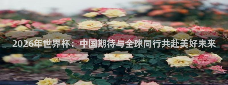 2026年世界杯：中国期待与全球同行共赴美好未来