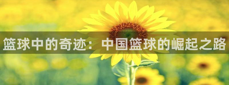 篮球中的奇迹：中国篮球的崛起之路