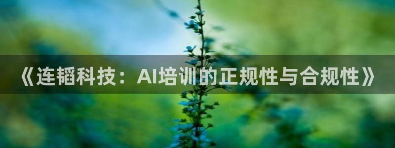 《连韬科技：AI培训的正规性与合规性》