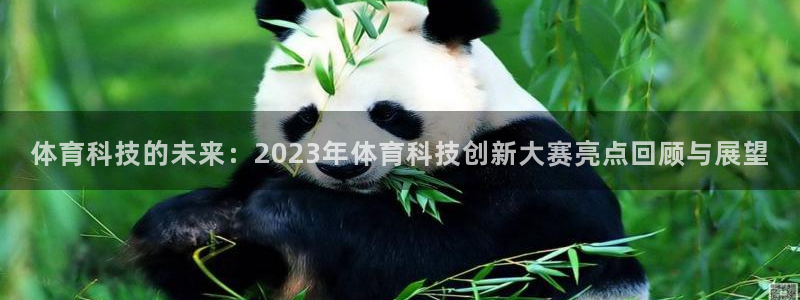 体育科技的未来：2023年体育科技创新大赛亮点回顾与展望