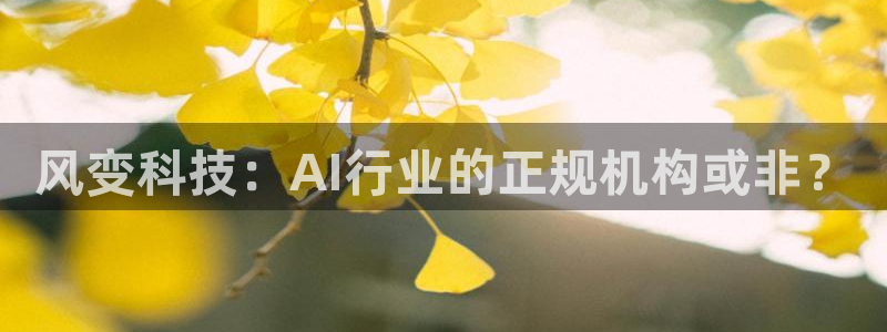 风变科技：AI行业的正规机构或非？