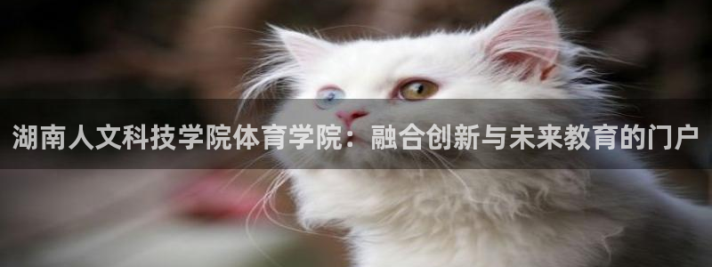 湖南人文科技学院体育学院：融合创新与未来教育的门户