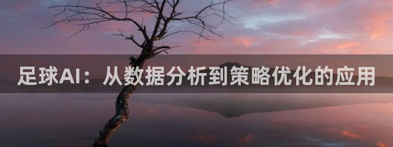 足球AI：从数据分析到策略优化的应用