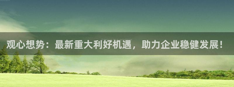观心想势：最新重大利好机遇，助力企业稳健发展！