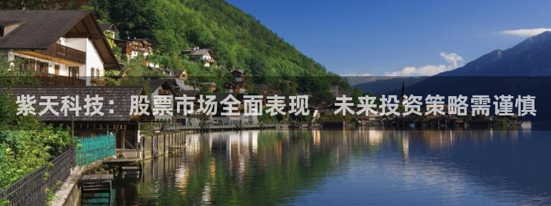 紫天科技：股票市场全面表现，未来投资策略需谨慎