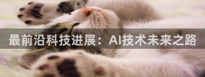 最前沿科技进展：AI技术未来之路