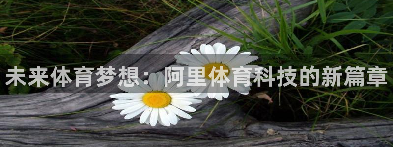 未来体育梦想：阿里体育科技的新篇章