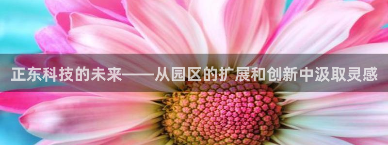 正东科技的未来——从园区的扩展和创新中汲取灵感