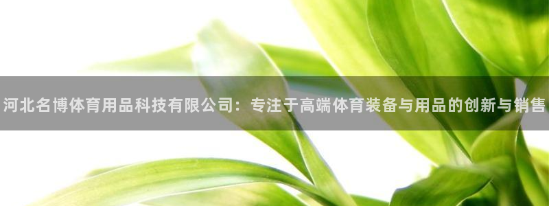 河北名博体育用品科技有限公司：专注于高端体育装备与用品的创新与销售