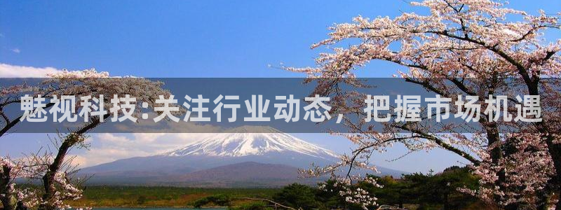 魅视科技:关注行业动态，把握市场机遇