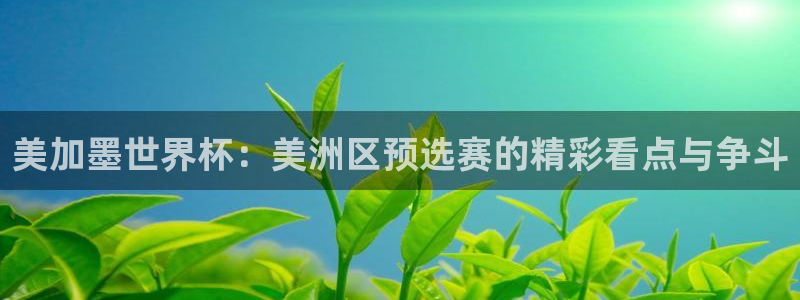 美加墨世界杯：美洲区预选赛的精彩看点与争斗