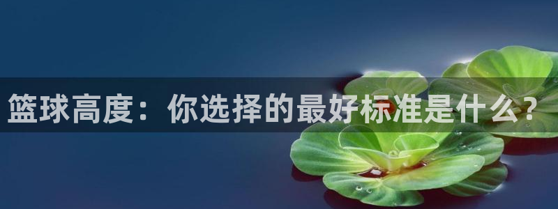 篮球高度：你选择的最好标准是什么？
