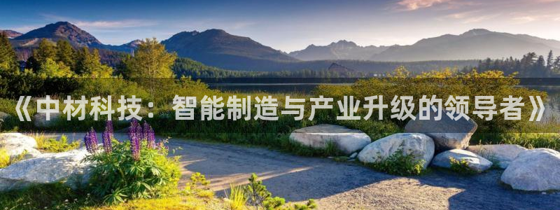 《中材科技：智能制造与产业升级的领导者》