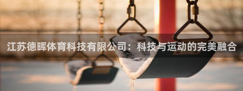 江苏德晖体育科技有限公司：科技与运动的完美融合