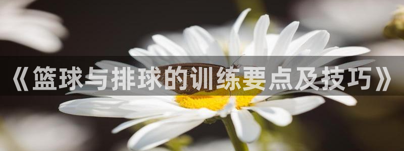 《篮球与排球的训练要点及技巧》