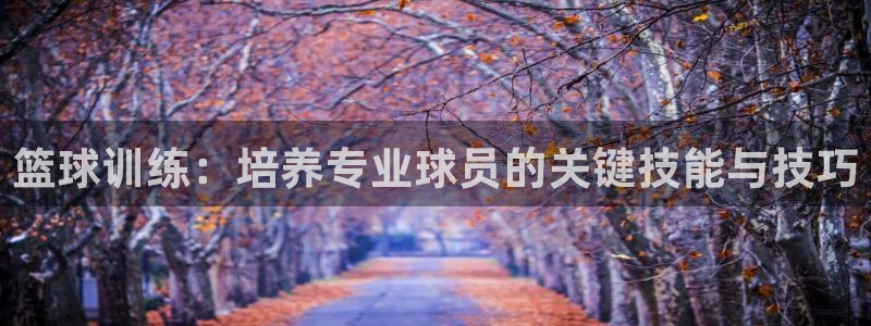 篮球训练：培养专业球员的关键技能与技巧