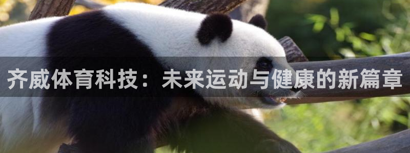齐威体育科技：未来运动与健康的新篇章
