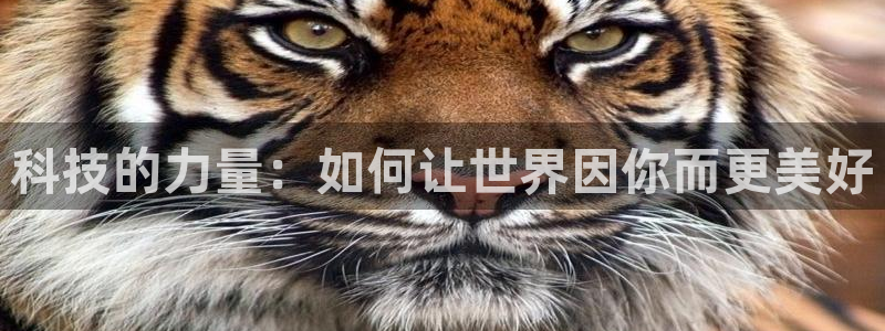 科技的力量：如何让世界因你而更美好