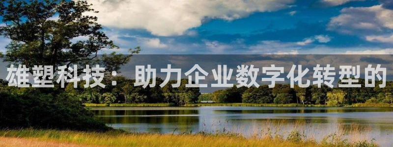 雄塑科技：助力企业数字化转型的