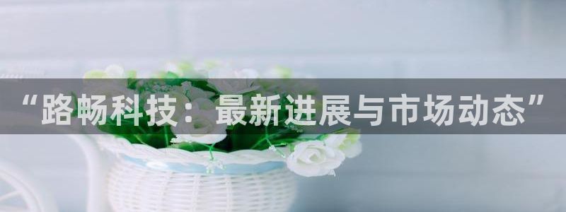 “路畅科技：最新进展与市场动态”